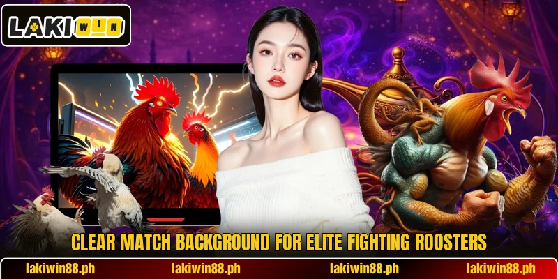 Clear match background for Elite fighting roosters