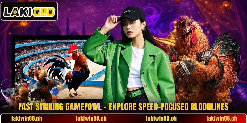 Fast Striking Gamefowl – Explore Speed-Focused Bloodlines