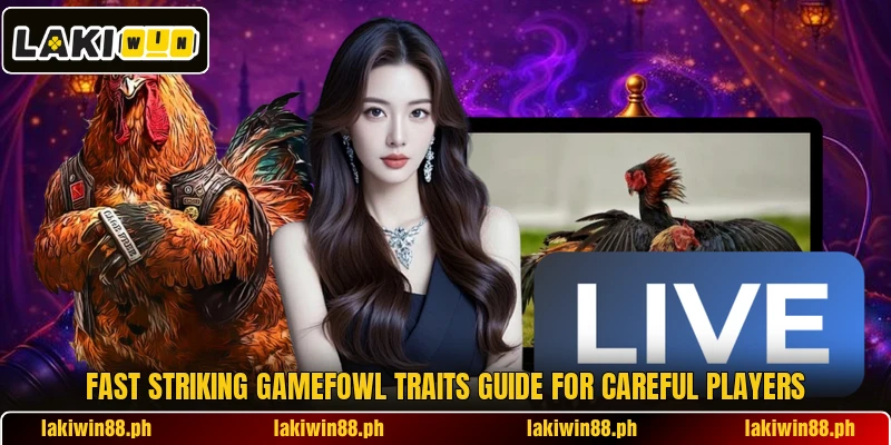 Fast striking gamefowl traits guide for careful players Fast striking gamefowl traits guide for careful players