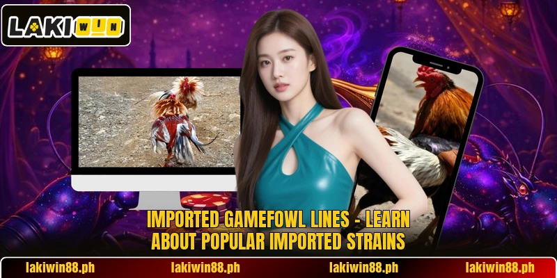Imported Gamefowl Lines – Learn About Popular Imported Strains