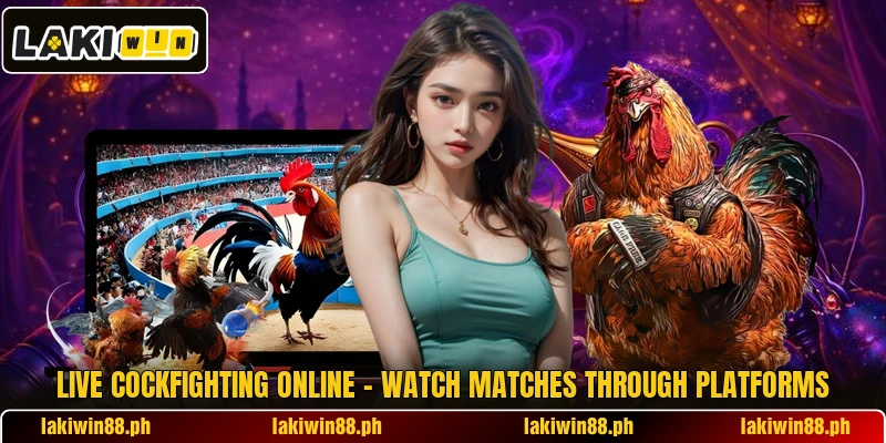 Live Cockfighting Online – Watch Matches Through Platforms