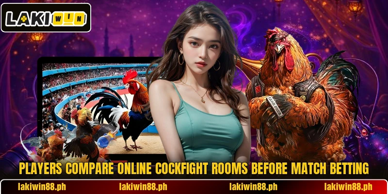 Players compare online cockfight rooms before match betting Players compare online cockfight rooms before match betting